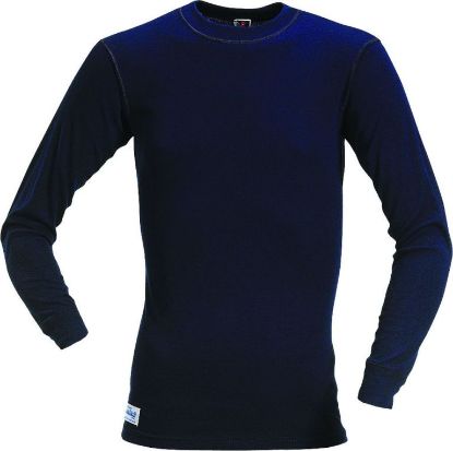 Afbeelding - mascot-7667330-kiruna-jpg